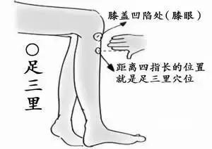秋季养生需要注意什么